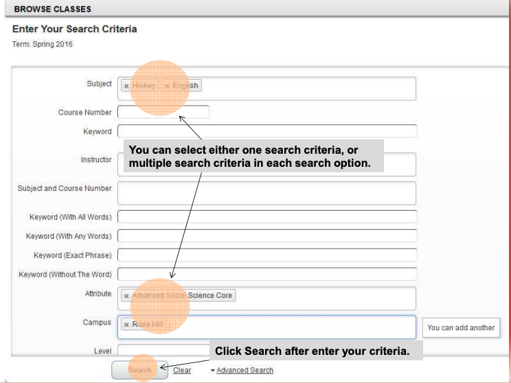 Search criteria can consist of one or multiple search options. Click the search button to proceed.